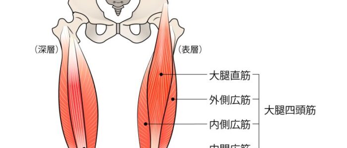 デッドリフト ガイド