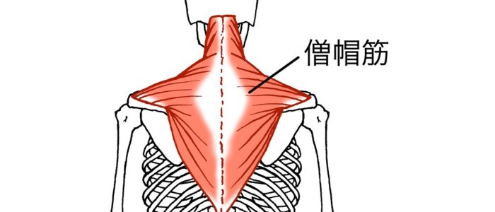 デッドリフト ガイド